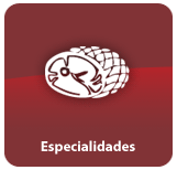 Especialidades